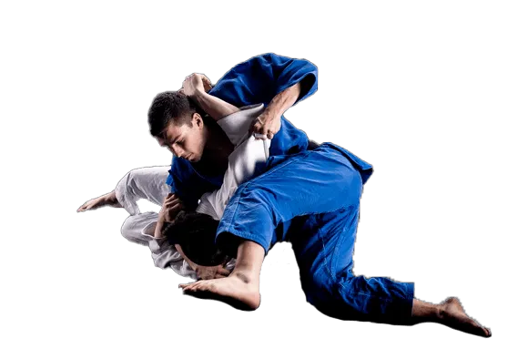 Adult Jiu Jitsu
