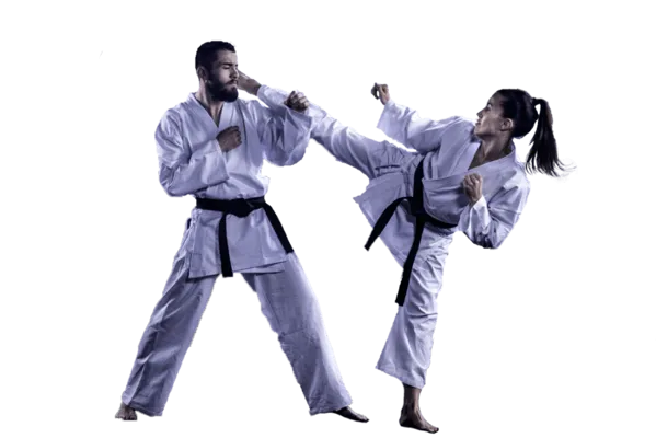 Adult Martial Arts