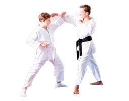 Kids Martial Arts